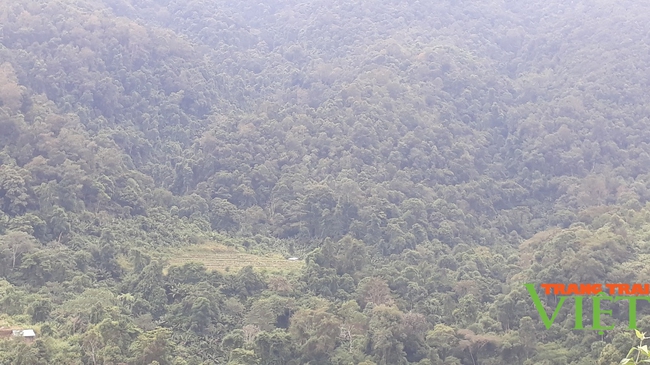 Mường Tè tăng cường quản lý, bảo vệ rừng mùa hanh khô - Ảnh 2.