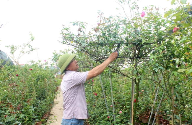 Xây dựng nông thôn mới tại các huyện ngoại thành: Giúp người dân cải thiện chất lượng cuộc sống - Ảnh 1.