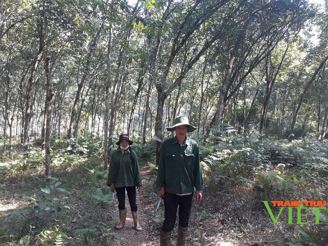 Công ty CP Cao su Lai Châu: Chăm lo đời sống cho người lao động - Ảnh 3.