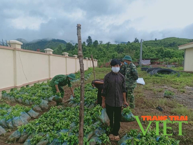 Điện Biên: Đảm bảo chủ quyền an ninh biên giới    - Ảnh 4.