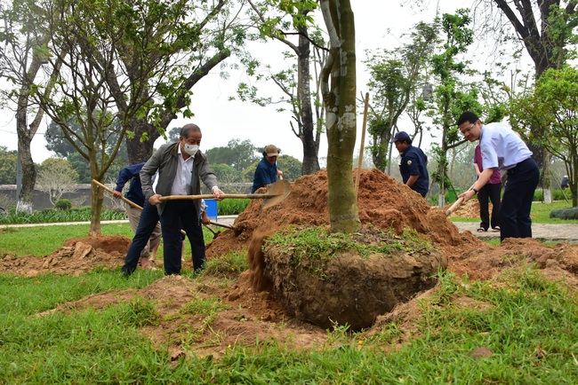 Xây dựng chỉ dẫn địa lý cho sản phẩm mai vàng của Thừa Thiên Huế - Ảnh 2.