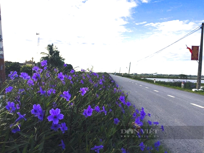 Hà Nam: Nguyễn Uý hoàn thiện hạ tầng, đảm bảo môi trường hướng đến xã nông thôn mới kiểu mẫu - Ảnh 7.