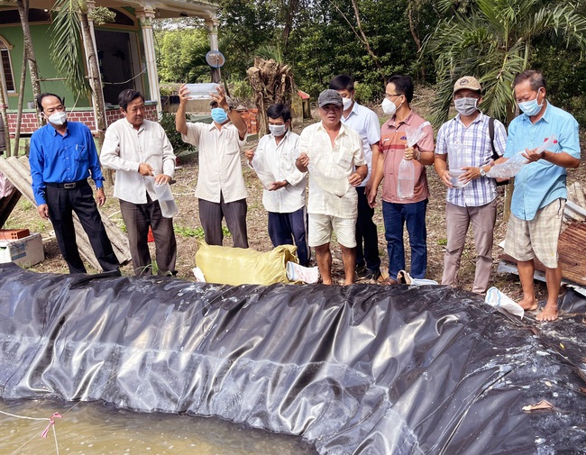 Nuôi tôm kiểu mới: Giảm chi, tăng thu  - Ảnh 1.