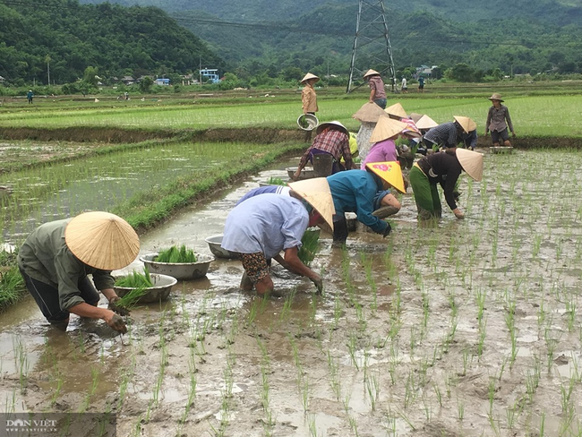 Mai Châu chuẩn bị tốt cho công tác bầu cử Hội đồng nhân dân các cấp - Ảnh 4.