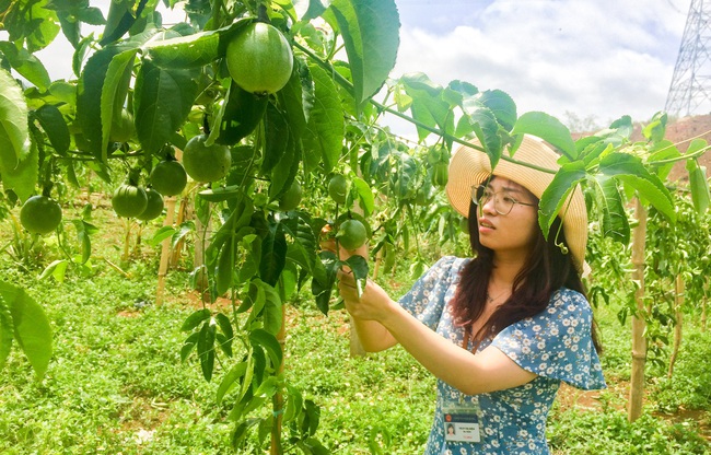 Xây dựng nông thôn mới ở huyện biên giới Nậm Nhùn - Ảnh 2.