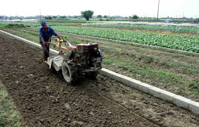 Những cuộc “cách mạng” trên đất lúa kém hiệu quả (bài 3): Đất hoang thành ruộng  trăm triệu - Ảnh 1.