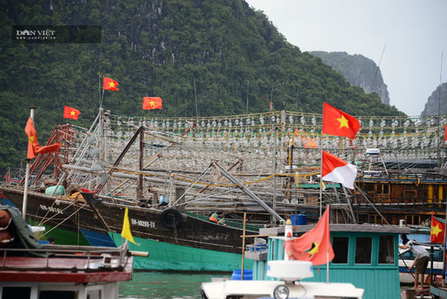 Quảng Ninh tăng cường bảo vệ ngư dân trên vịnh Bắc Bộ - Ảnh 1.