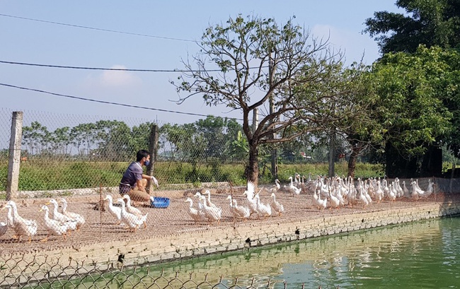 Xã Cấn Hữu (Quốc Oai, Hà Nội):  Xây dựng nông thôn mới gắn với bảo vệ môi trường - Ảnh 4.