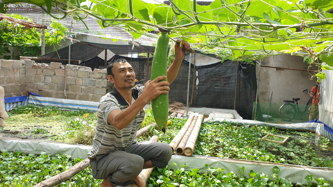 Thanh Hóa: Nuôi con cả ngày bò được nửa mét, biết nhả ra vàng trắng, bán tiền triệu mỗi kg - Ảnh 7.