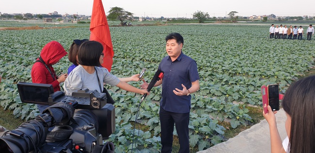 Những cuộc “cách mạng” trên đất lúa kém hiệu quả (Bài 5): Đổi mới trong tư duy, sáng tạo trên đồng ruộng - Ảnh 4.