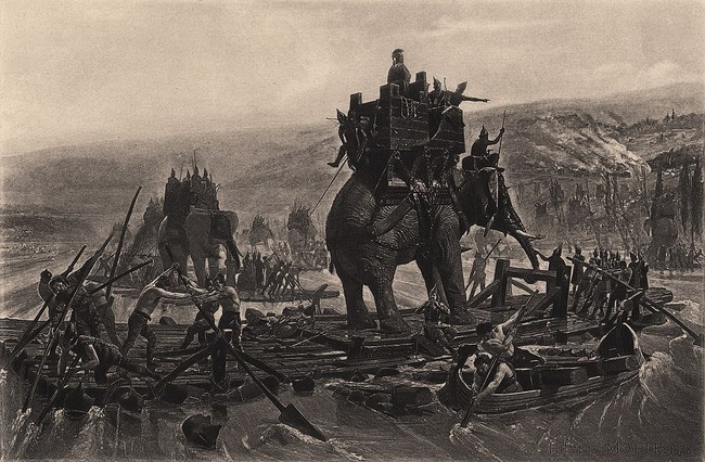 Bí mật đàn voi chiến hung dữ của thế giới cổ đại - Ảnh 3.