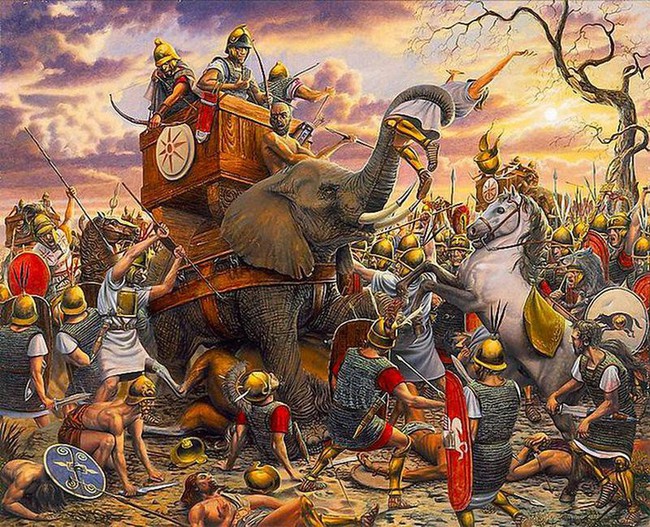 Bí mật đàn voi chiến hung dữ của thế giới cổ đại - Ảnh 4.
