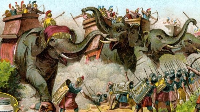 Bí mật đàn voi chiến hung dữ của thế giới cổ đại - Ảnh 9.