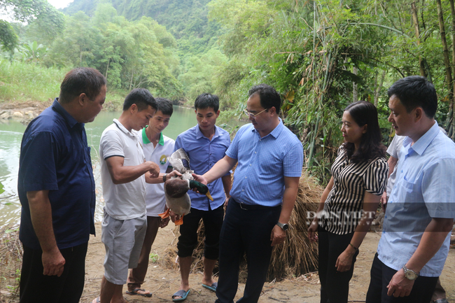 “Thủ lĩnh” nông dân Yên Bái trăn trở với khó khăn của nông dân vùng cao - Ảnh 2.