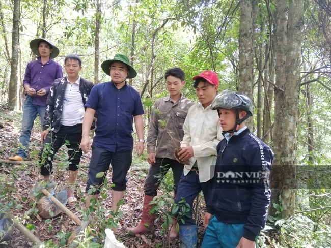 “Thủ lĩnh” nông dân Yên Bái trăn trở với khó khăn của nông dân vùng cao - Ảnh 3.