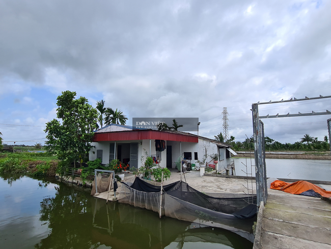 Thiết chế bảo vệ người tố cáo đúng, nhìn từ chuyện Thiếu tá Trịnh Văn Khoa - Ảnh 3.