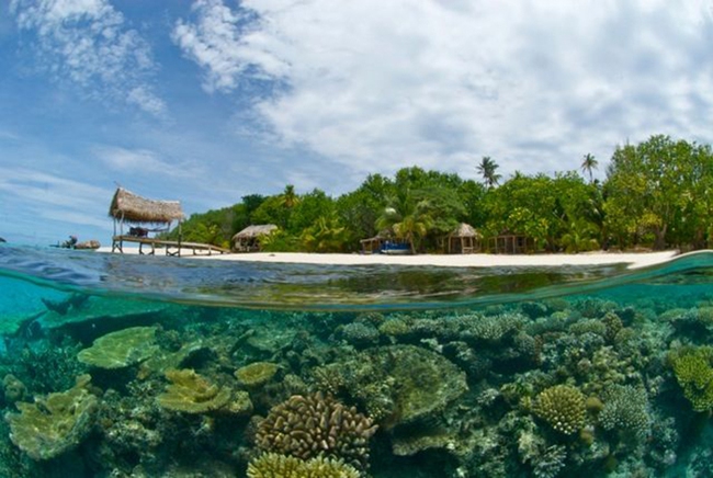 Quần đảo Tonga với phong tục thú vị - cô dâu nhảy múa “chinh phục” nhà chồng - Ảnh 2.