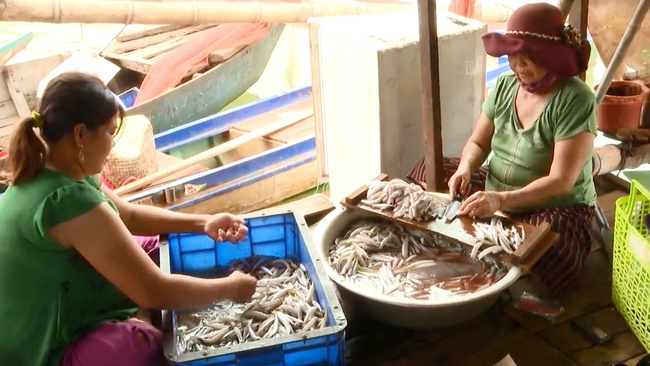 Ngoài nuôi cá lồng bè, người dân còn khai thác nguồn lợi thủy sản trong lòng hồ để bổ sung thu nhập. Ảnh Trung Quang