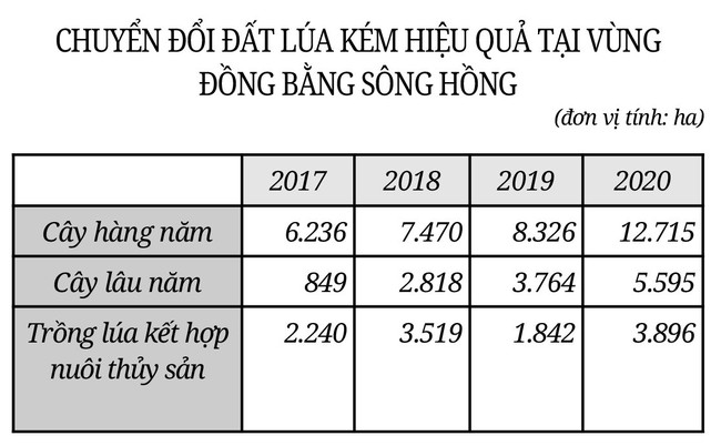 Những cuộc “cách mạng” trên đất lúa kém hiệu quả (Bài cuối): Phải gắn với kế hoạch và tín hiệu thị trường  - Ảnh 4.