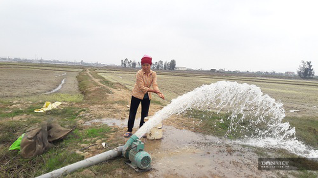 Gia đình lão nông cứ hễ ai chê ruộng là thuê về làm - Ảnh 5.