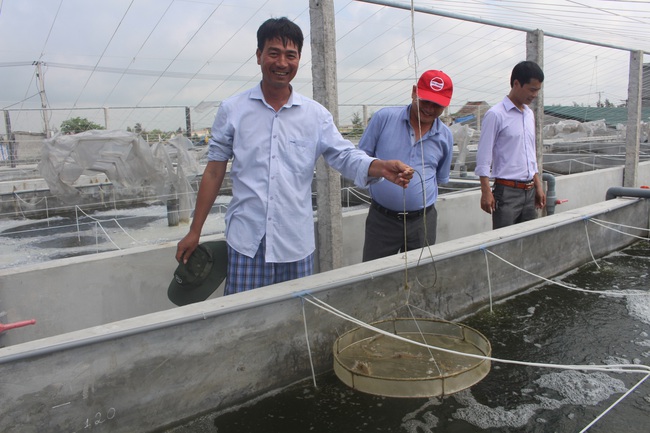 Vào Hội, được vay vốn, làm ăn hiệu quả - Ảnh 1.