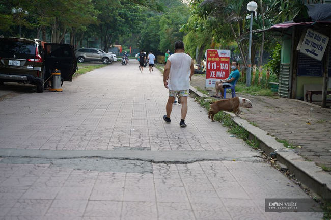 Hãi hùng chó không rọ mõm thả rông nơi công cộng - Ảnh 10.