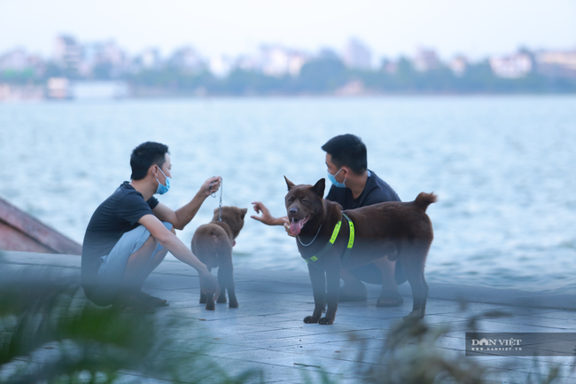 Hà Nội: Đây là hình ảnh chó thả rông, không rọ mõm nơi công cộng khiến ai cũng... sợ! - Ảnh 3.