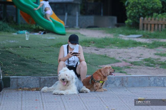 Hà Nội: Đây là hình ảnh chó thả rông, không rọ mõm nơi công cộng khiến ai cũng... sợ! - Ảnh 4.