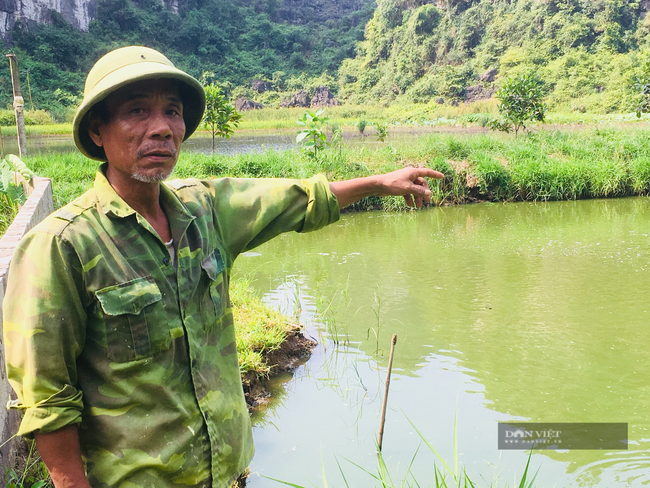 Lão nông Ninh Bình nuôi cá trên hồ Bin năm thu lời 300 triệu đồng - Ảnh 1.