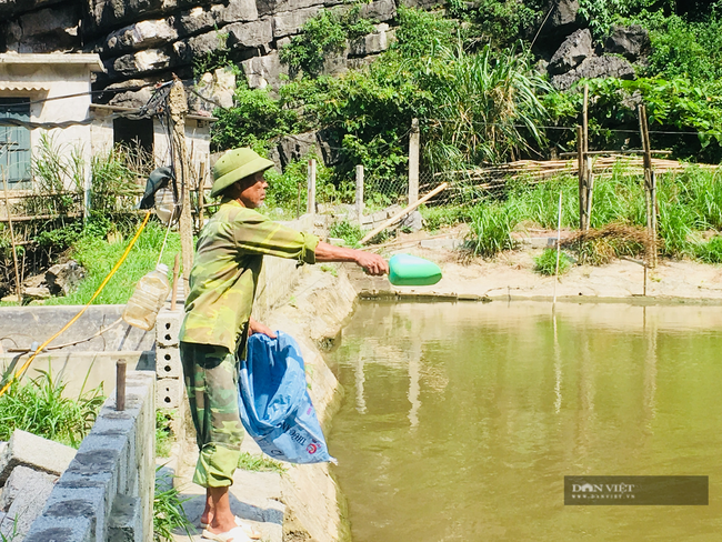 Lão nông Ninh Bình nuôi cá trên hồ Bin năm thu lời 300 triệu đồng - Ảnh 6.