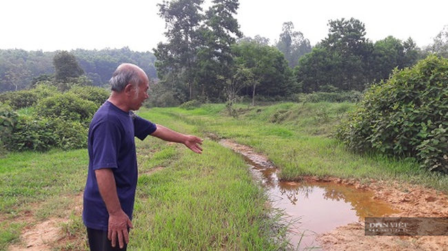 Nông dân bất lực nhìn ruộng bị bồi lấp: Ban QLDA NN Hà Tĩnh nói đã làm tròn trách nhiệm? - Ảnh 2.