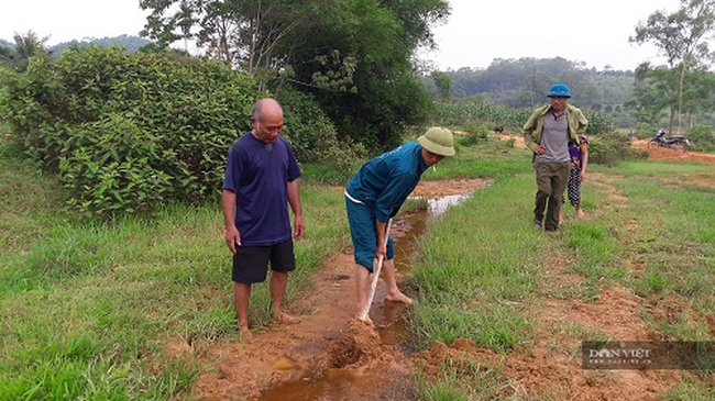 Nông dân bất lực nhìn ruộng bị bồi lấp: Ban QLDA NN Hà Tĩnh nói đã làm tròn trách nhiệm? - Ảnh 5.