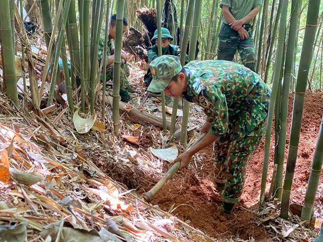 Rừng lạ ào ào lá đỏ (kỳ 2): Những cuộc kiếm tìm - Ảnh 3.