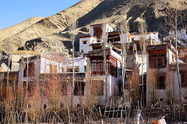 Hành trình phiêu lưu tới Ladakh, “săn” báo tuyết trên “nóc nhà thế giới” - Ảnh 3.