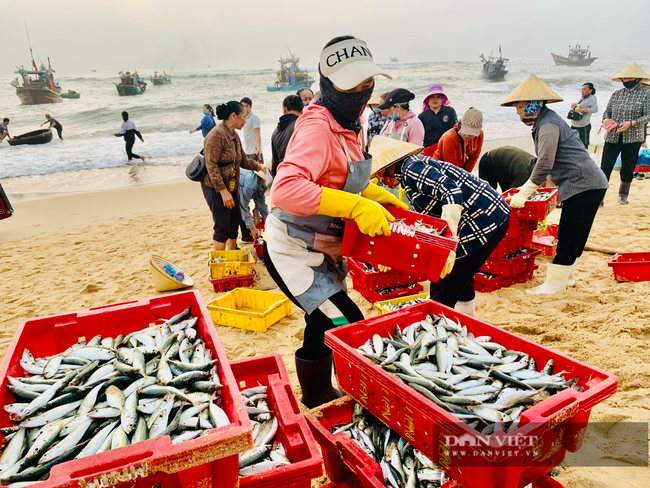 Ảnh – clip: Chợ cá Nhân Trạch (Quảng Bình) họp lúc mặt trời chưa mọc tôm cá nhảy tanh tách tha hồ chọn - Ảnh 4.