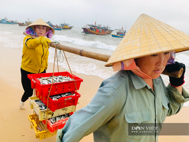 Ảnh – clip: Chợ cá Nhân Trạch (Quảng Bình) họp lúc mặt trời chưa mọc tôm cá nhảy tanh tách tha hồ chọn - Ảnh 5.