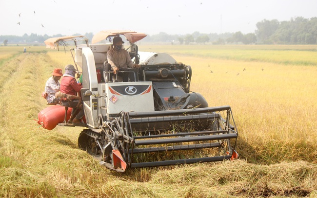 HoREA đề xuất lấy đất nông nghiệp làm dự án, chuyên gia nói “nguy hiểm” - Ảnh 4.