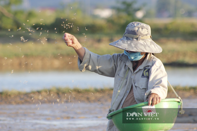 Quảng Bình: Nông dân vật vã gieo cấy vụ hè thu dưới cái nắng 40 độ C - Ảnh 4.