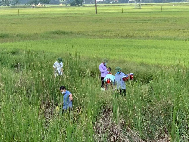 Nghệ An: Nghi án mẹ sát hại con rồi lên đường tàu Bắc - Nam tự tử   - Ảnh 2.