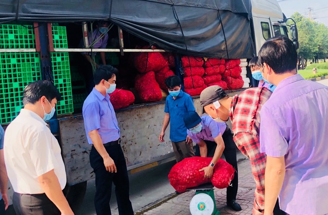 Ninh Bình: Hội Nông dân “giải cứu” 26 tấn hành tím cho nông dân Sóc Trăng - Ảnh 2.