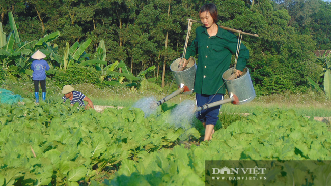 Thái Nguyên: Bàn giải pháp phối hợp, tháo gỡ khó khăn trong phát triển sản xuất nông nghiệp  - Ảnh 2.