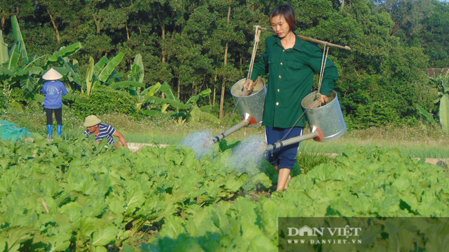 Thái Nguyên: Bàn giải pháp phối hợp, tháo gỡ khó khăn trong phát triển sản xuất nông nghiệp - Ảnh 2.