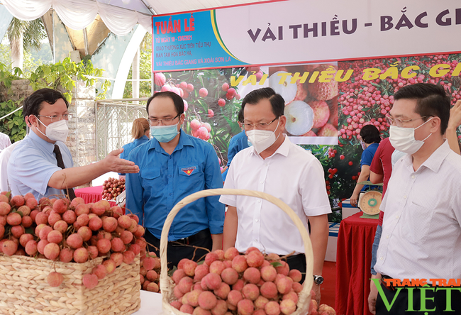 3 tỉnh Lào Cai - Bắc Giang - Sơn La: &quot;Bắt tay&quot; tiêu thụ 70 tấn quả vải thiều, xoài, mận tam hoa Bắc Hà - Ảnh 2.