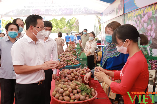 3 tỉnh Lào Cai - Bắc Giang - Sơn La: &quot;Bắt tay&quot; tiêu thụ 70 tấn quả vải thiều, xoài, mận tam hoa Bắc Hà - Ảnh 3.