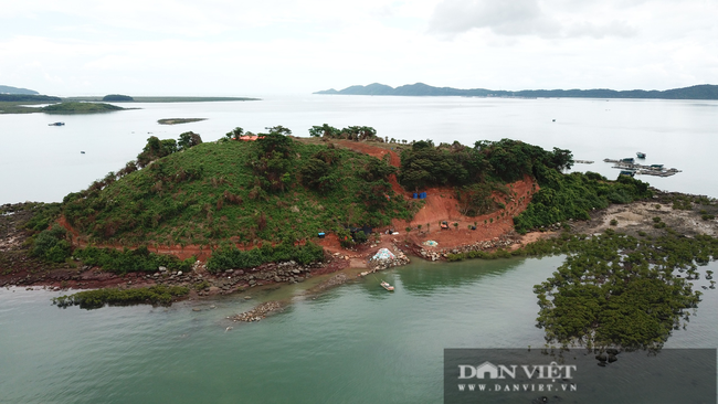 Móng Cái (Quảng Ninh): Đảo Đầu Sơn bị tàn phá - Ảnh 1.