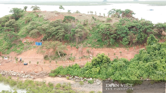 Móng Cái (Quảng Ninh): Đảo Đầu Sơn bị tàn phá - Ảnh 3.