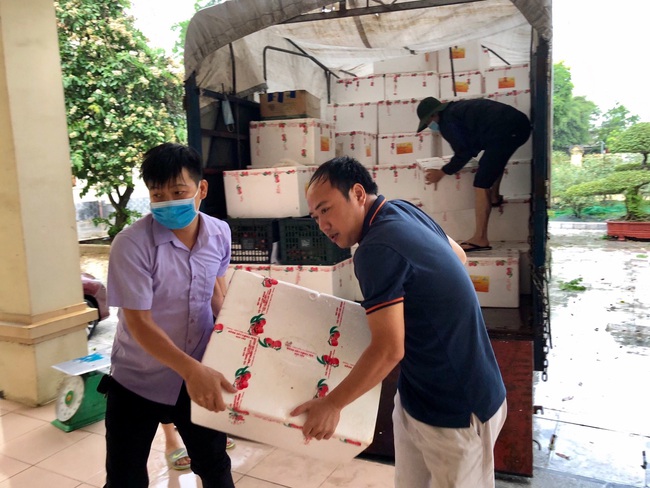 Hội Nông dân tỉnh Ninh Bình “đội mưa” tiêu thụ gần 8 tấn vải thiều tỉnh Bắc Giang - Ảnh 3.