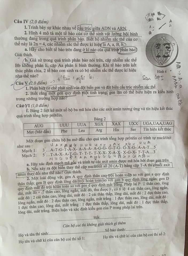 Đề thi Sinh học thi vào lớp 10 Chuyên Hà Nội năm 2021 - Ảnh 2.