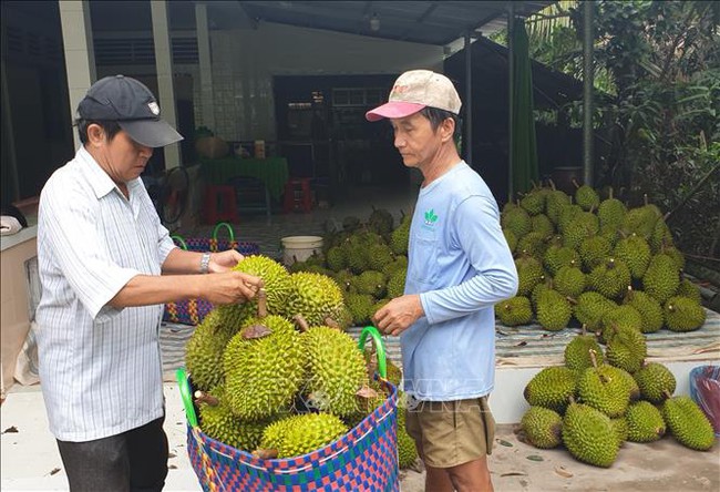 Hỗ trợ để nông dân được quyền định giá nông sản - Ảnh 1.