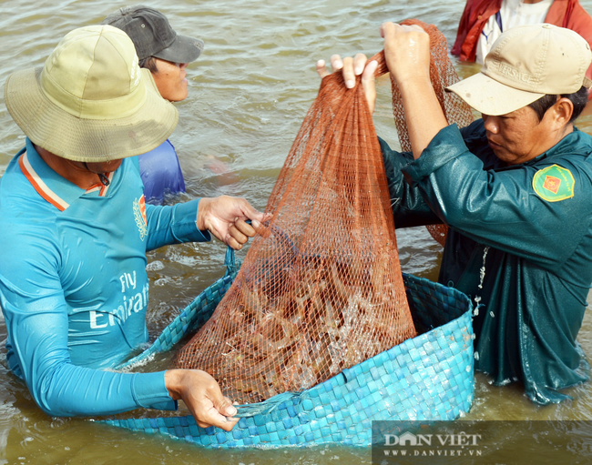 Mỹ-EU có động thái mới trong chống dịch Covid-19, loài thủy sản thế mạnh của Việt Nam thu ngay 1 tỷ USD - Ảnh 1.